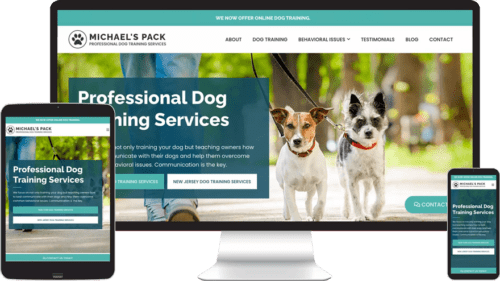 michaels-pack-portfolio